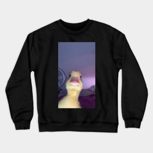 Duck meme Crewneck Sweatshirt